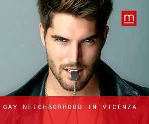 vicenza gay|Gay Neighborhood in Vicenza